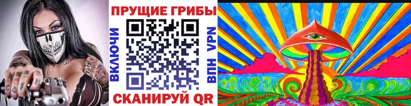 Галлюциногенные грибы Cubensis  Купить  Приволжский 