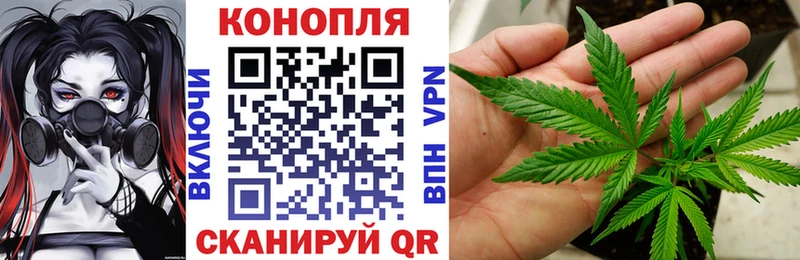 Купить где  Приволжский  Марихуана SATIVA & INDICA 
